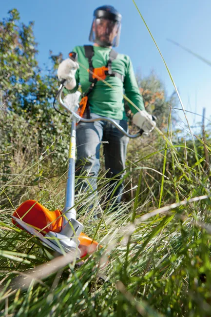 media (17) Débroussailleuse thermique STIHL FS 55 – 27,2 cm³ – Largeur de coupe 42 cm